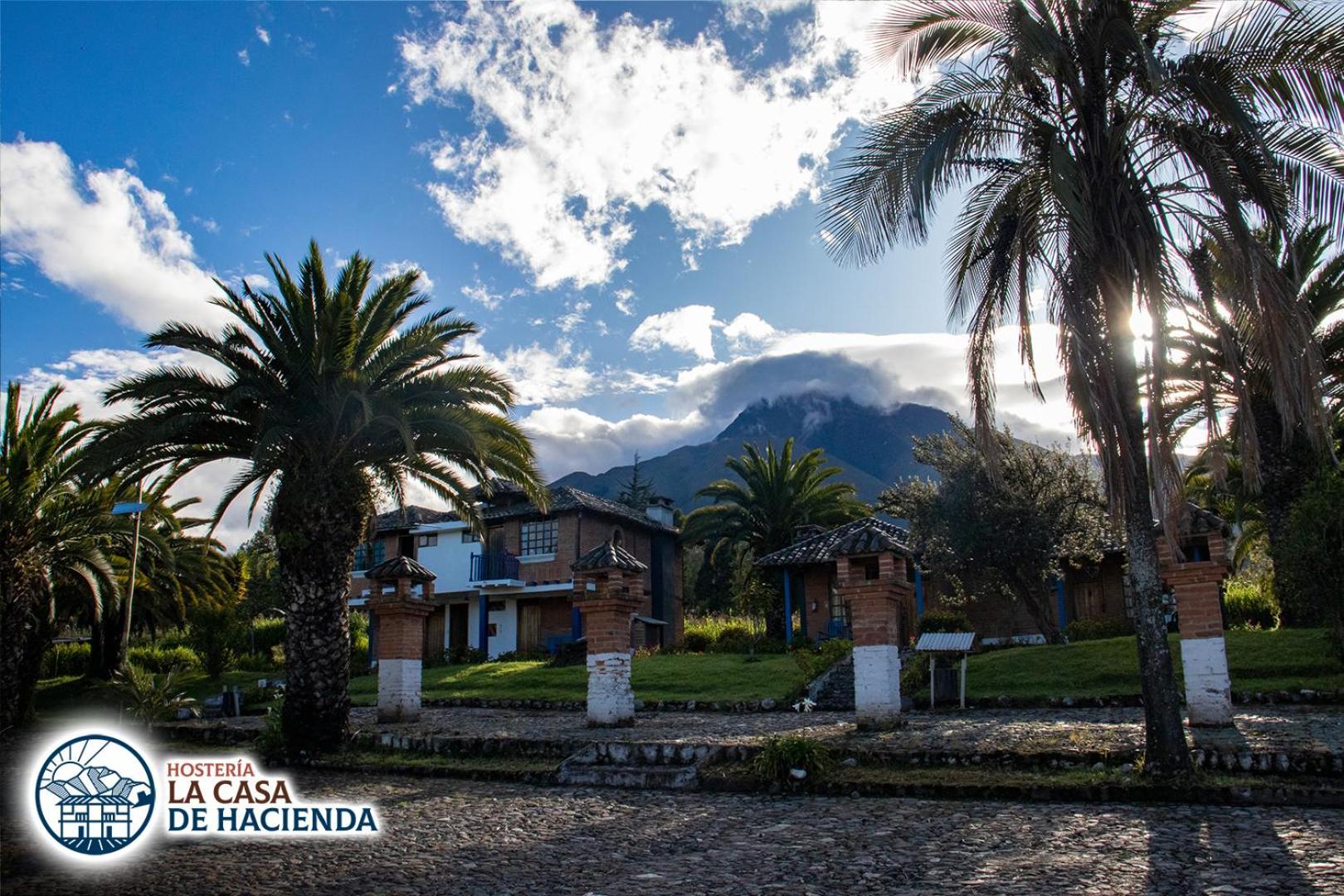 Apartment La Casa De Hacienda
